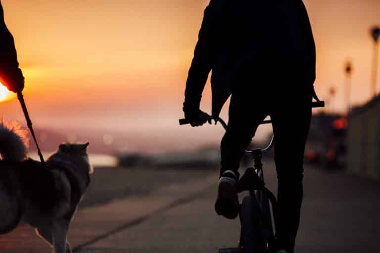 Imagify Ultra Compression